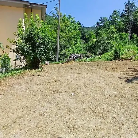La Casa Sul Castel dell'Alpi